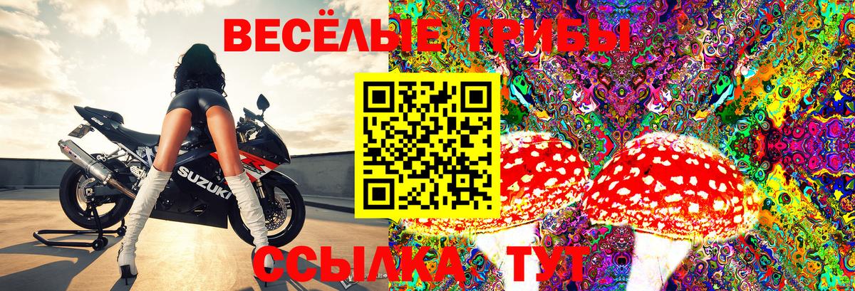 Псилоцибиновые грибы мухоморы Славянск-на-Кубани
