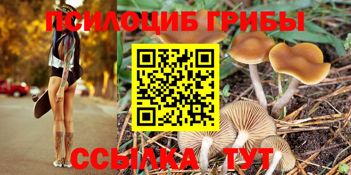 Славянск-на-Кубани  Галлюциногенные грибы Cubensis  Вход с VPN 